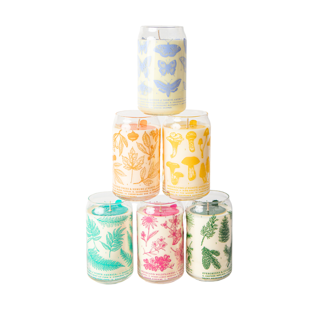 Evergreens & Conifers Soy Candle