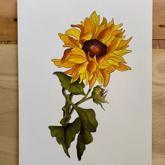 Sunflower Print
